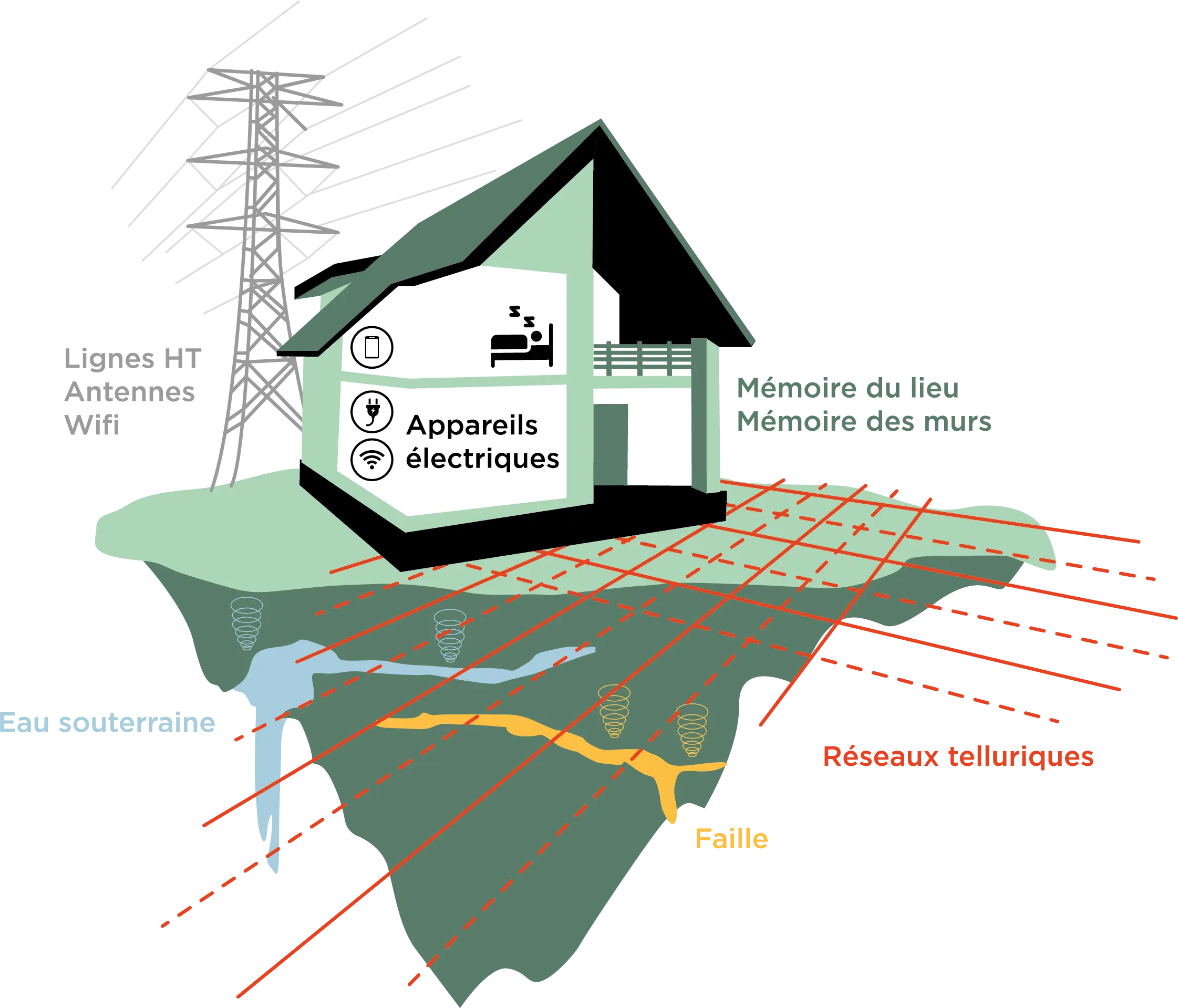 Découverte de la géobiologie